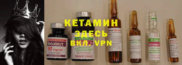 стаф Алексин