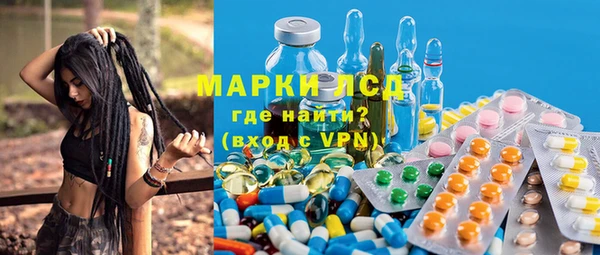 стаф Алексин