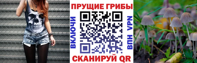 Галлюциногенные грибы Psilocybine cubensis  KRAKEN как войти  Артём 